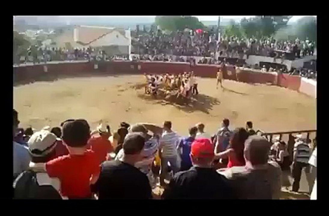 bull fight
