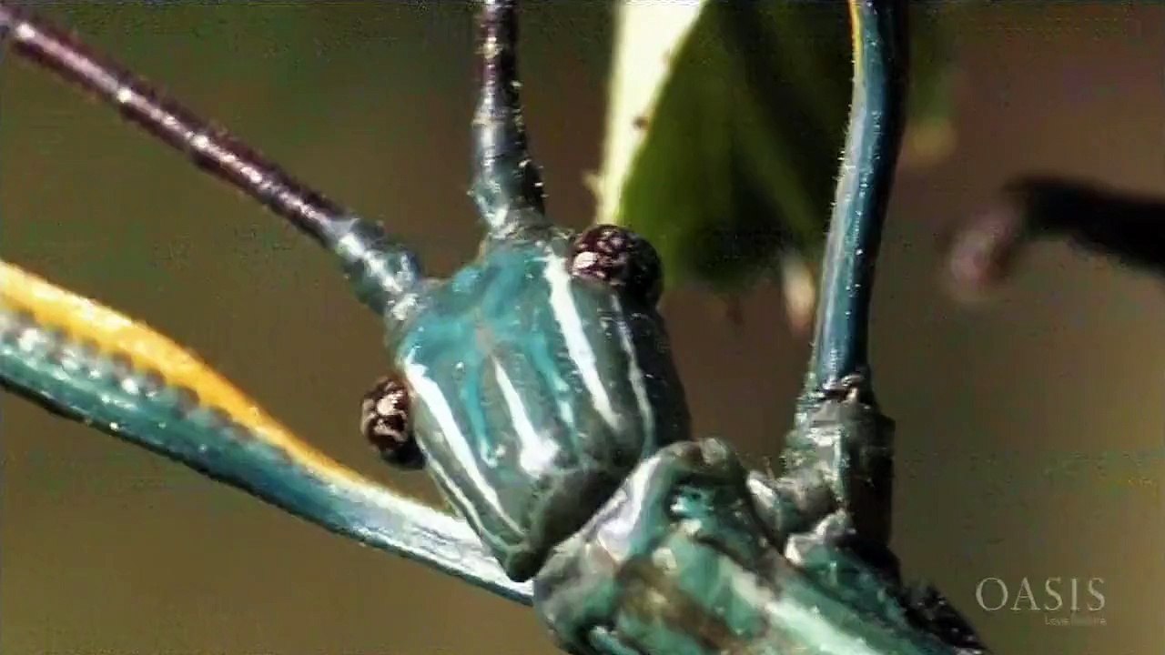 Life Stories 5of9 Loving For Life 720p