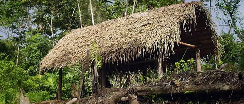 Hardwell & Dannic feat. Haris - Survivors (Official Music Video)