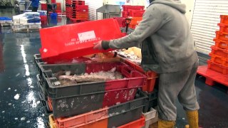 Short Documentary: Plymouth Fisheries, Plymouth