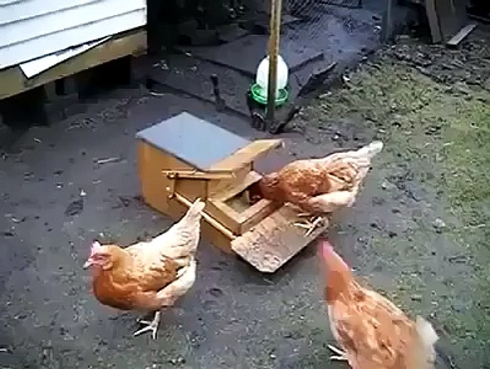 Awesome Idea!