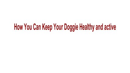 Keep Your Dog Healthy and Happy