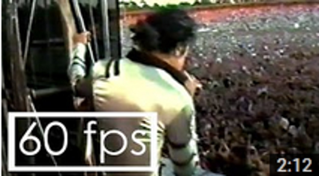Michael Jackson | Heartbreak Hotel, Bad Tour live in Hockenheim 1988