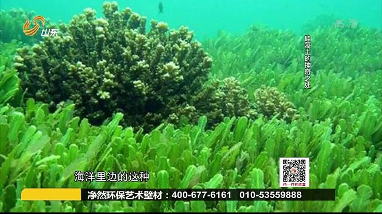 20151028 创富英雄