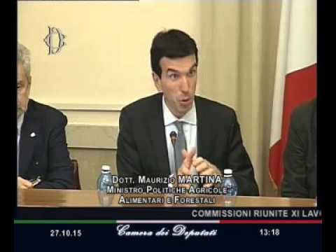 Roma - Caporalato, audizione Ministro Martina (27.10.15)