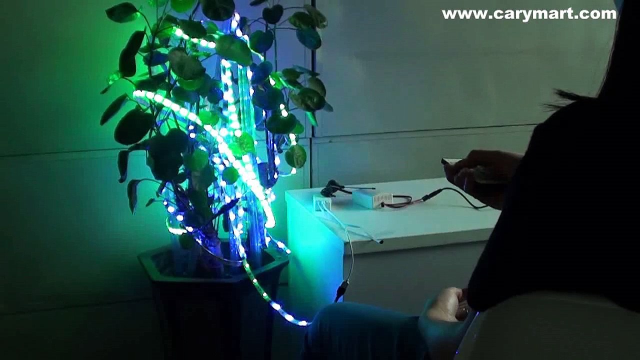 Remote Control Christmas Lights