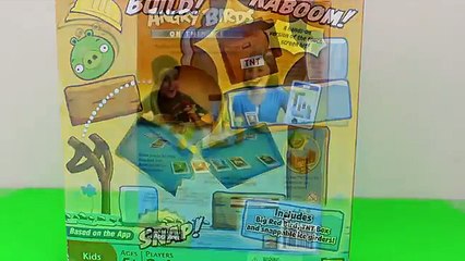 Angry Birds On Thin Ice Game