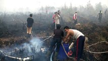 Feux de forêts en Indonésie: un Français accuse l'huile de palme