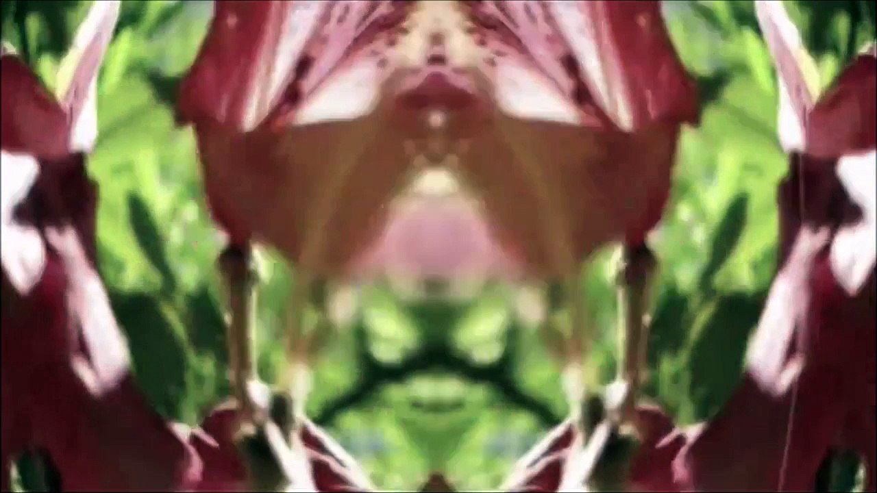 BestandAufnahme Pinneberg - Kleinkunstfestival Beachclub Wald 2010 /Full Film/Ganzer Film/Complete Movie