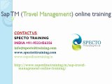 Sap TM(travel management) online training in usa,uk,australia,canada,southafrica,malaysia,dubai.