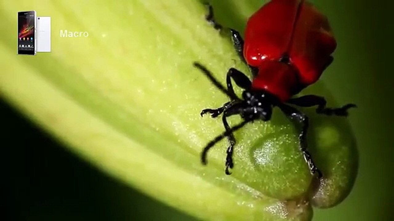 Sony Xperia Z4 Complete Pro Camera Test