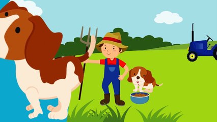 Ç-O-M-A-R - Yeni Çocuk Şarkısı