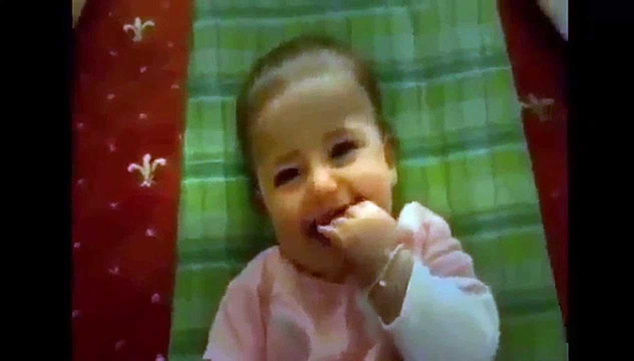 MUST SEE ★ Best Funny Cats Scared Cat Compilation 2014 Funny Cat Videos Ever ★