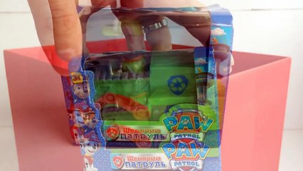 Paw Patrol Rocky Racer Nickelodeon - Unboxing Demo Review