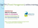 Sap TM(travel management) online training in dubai