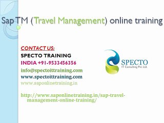 Sap TM(travel management) online training in dubai
