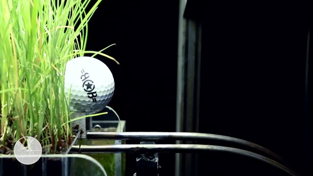 La machine Rube Goldberg la plus lente utilisant une tortue, du gazon, de la mélasse....