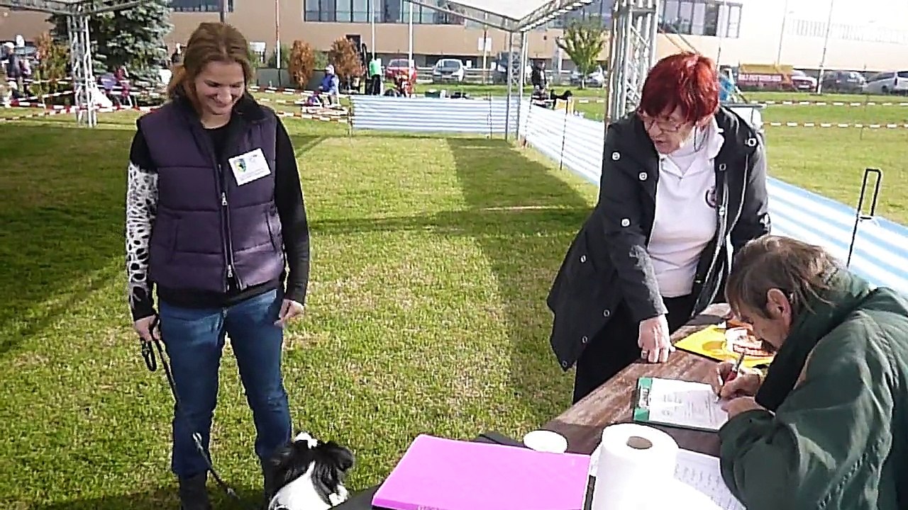 Int. Rassehundeausstellung - Astrid & Amy