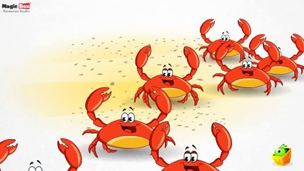 Sea Animals - Pre School - Learn English Words (Spelling) Video For Kids and Toddlers