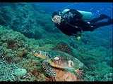 Coral island pattaya (HD)
