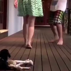 The owner of the courageous dog guarding