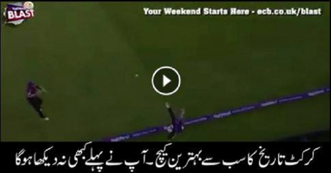 Best Catch Ever In Cricket History