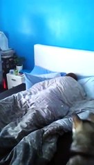 Как надо будить мужа на работу