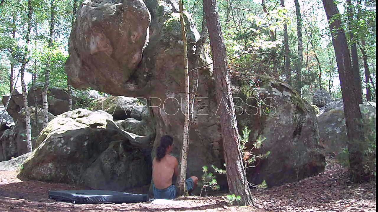 Bleau - La Proue Assis