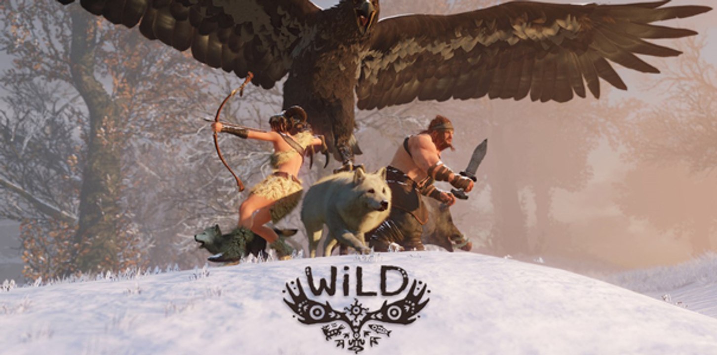 WiLD, Gameplay Oficial