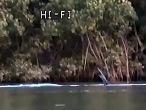 Русалка или доисторическое существо! Динозавры существуют