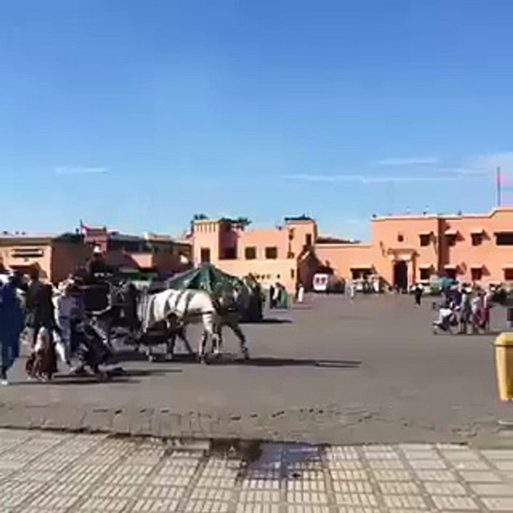 En direct de Jemaa el fna
