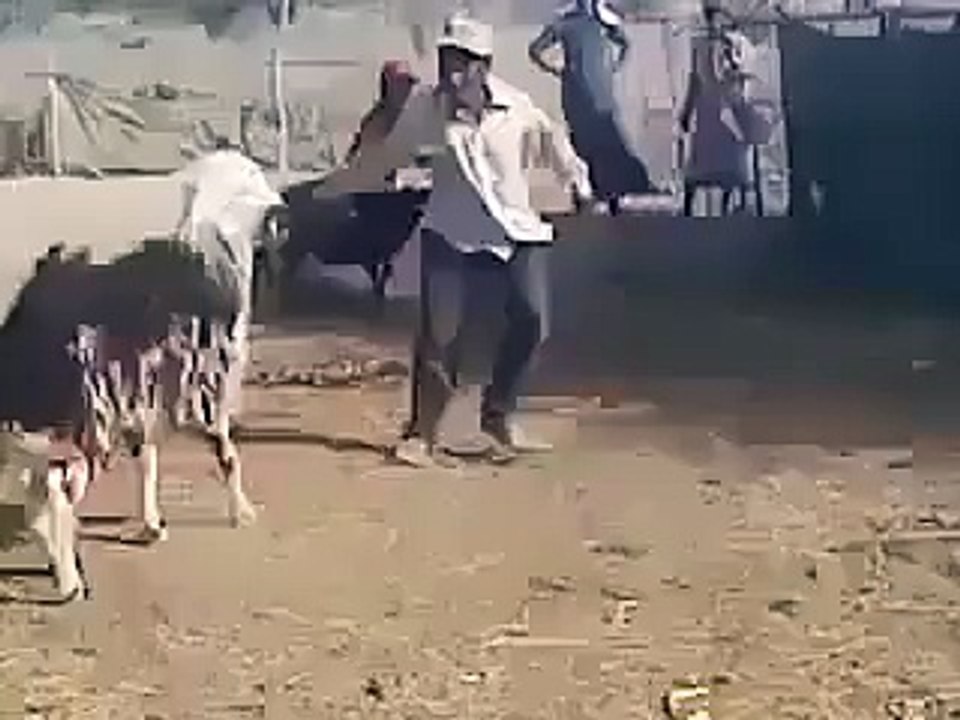 Amazing Funny Video Must Watch