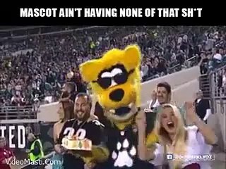 Girl Ka Very Funny Fail On Live TV - Face Pe Cake Haha