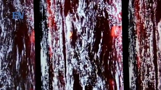 Tecnología y naturaleza se unieron en Media art, ecología desde el arte dígital