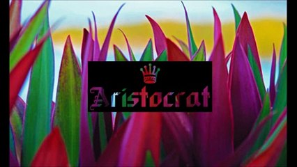 Felix Jaehn - Sommer Am Meer (Original Mix)(1)