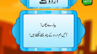 Some Basic Urdu Sentences (Urdu Jumlay) - اردو زبان میں چند بنیادی جملے