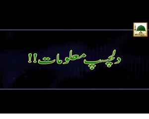 Dilchasp Maloomat - Maulana Ilyas Qadri - Short Bayan