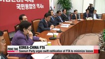 Korea-China FTA approval to take some time at parliament