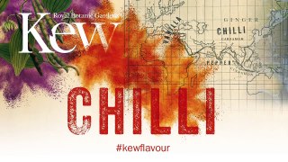 Kew Gardens: Why do chillies taste hot?