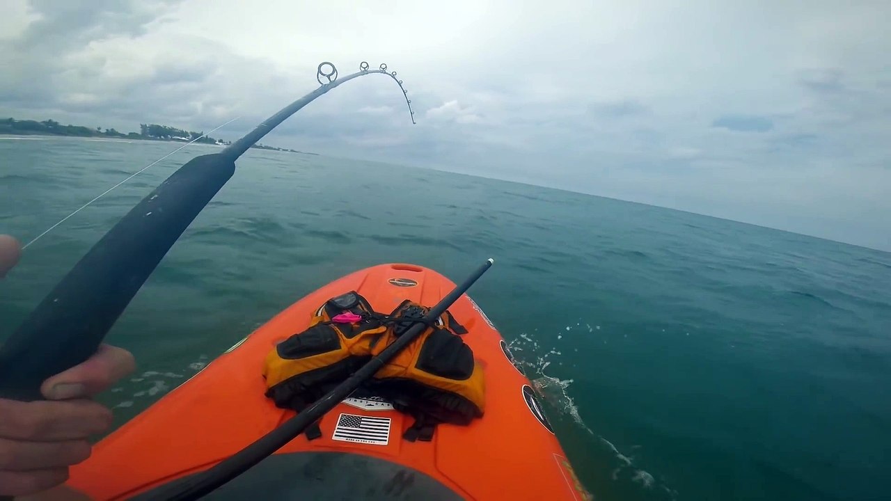 Shark Takes Paddleboarder for a Ride