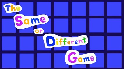 The Same or Different Game 1