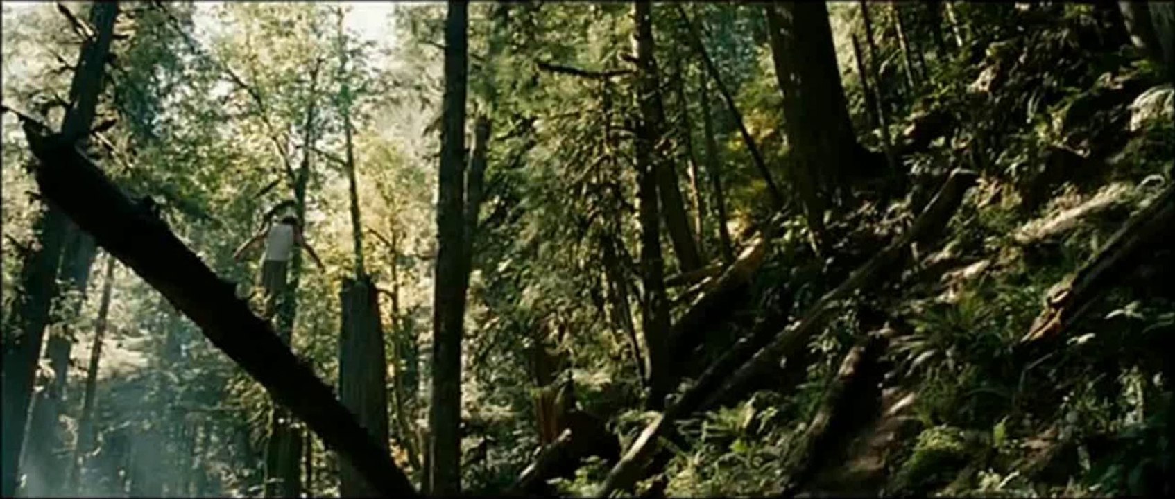 into the wild (teaser non officiel)