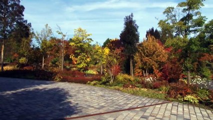 FIFA - Les 7 candidats confirmés