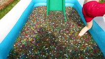 ORBEEZ POOL PARTY WATER BALLOON BOMB FIGHT | Toys AndMe