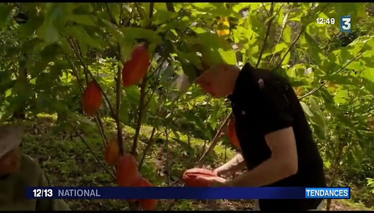L'aventurier du chocolat