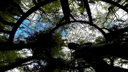 Vacances en Auvergne... (48h clermont 2015)