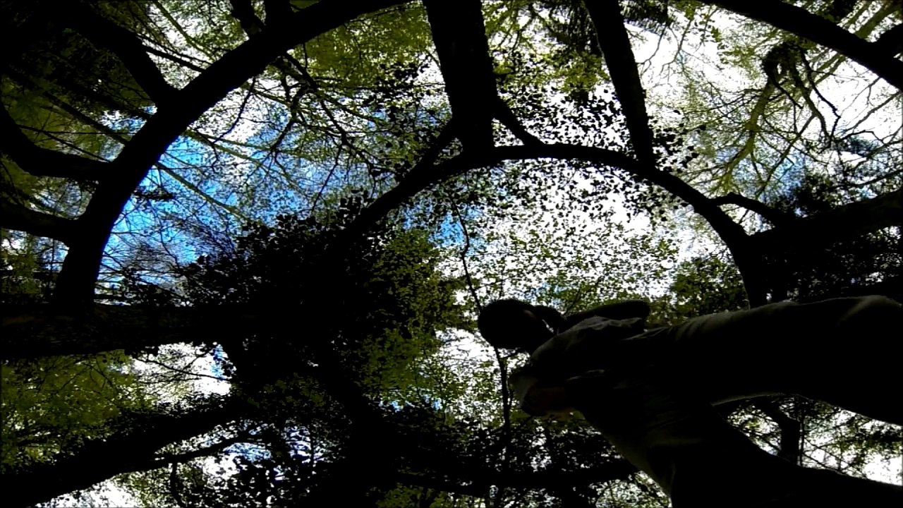 Vacances en Auvergne... (48h clermont 2015)