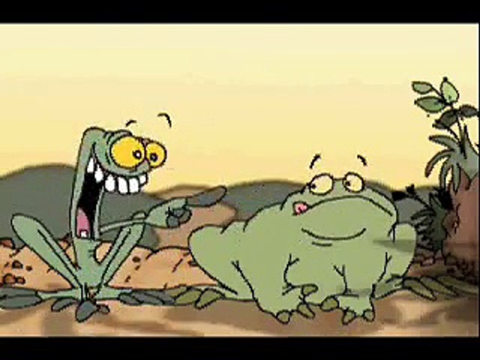 Funny Frogs