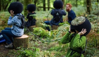 Réalité virtuelle : Voir la forêt à travers les yeux des animaux !