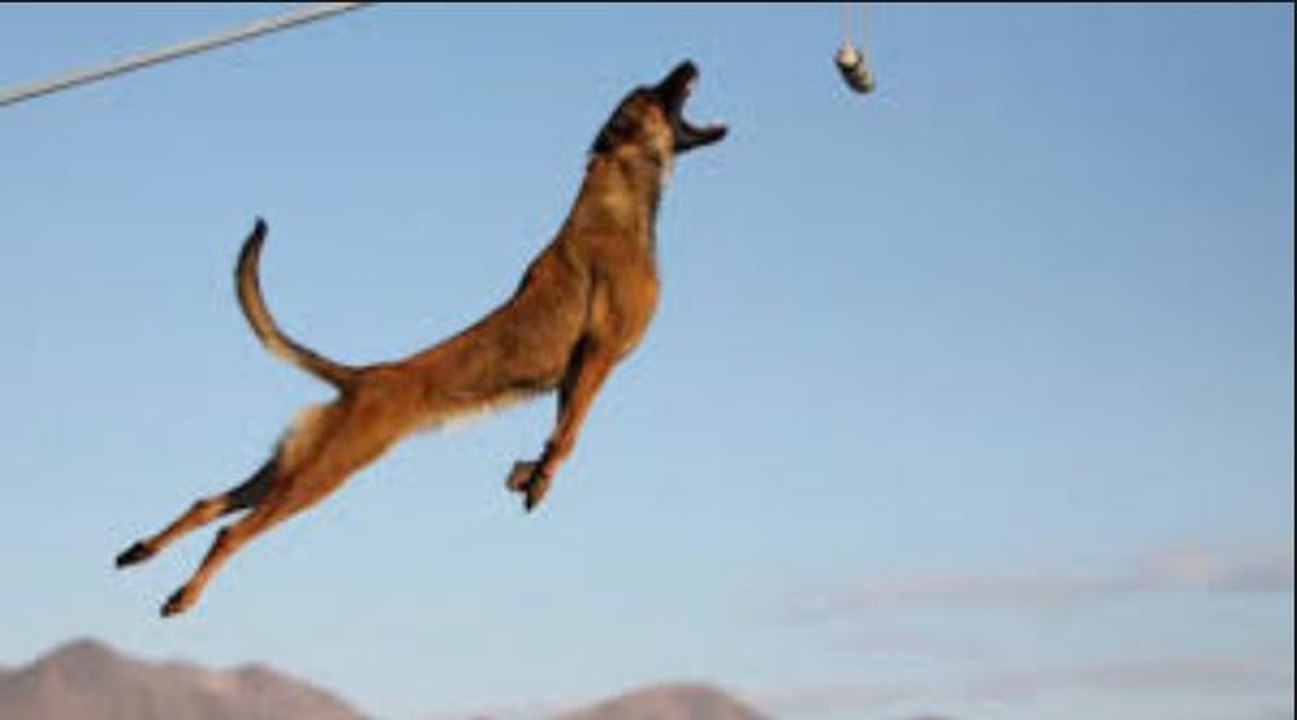 Watch This Closely - Take A Good Look At The Scene